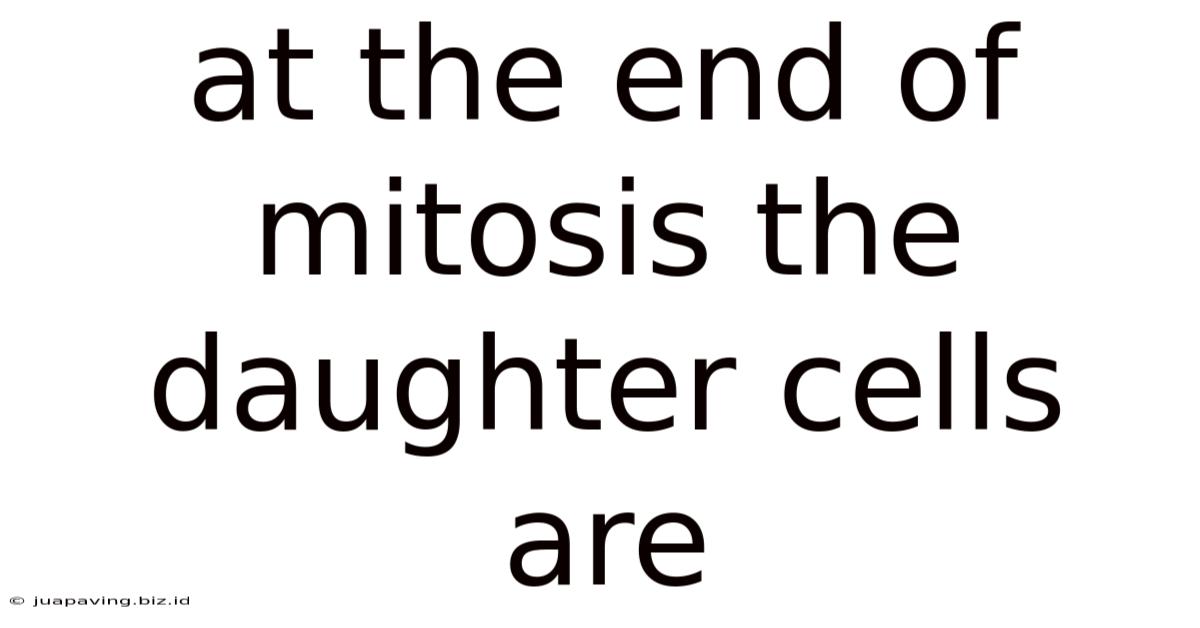 At The End Of Mitosis The Daughter Cells Are