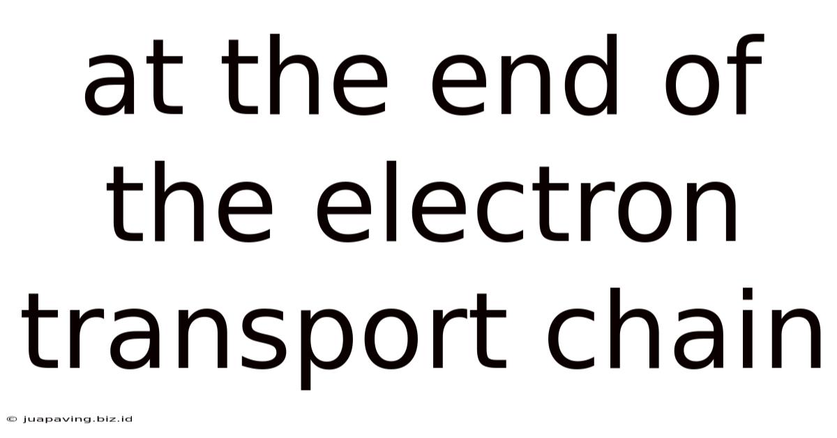 At The End Of The Electron Transport Chain