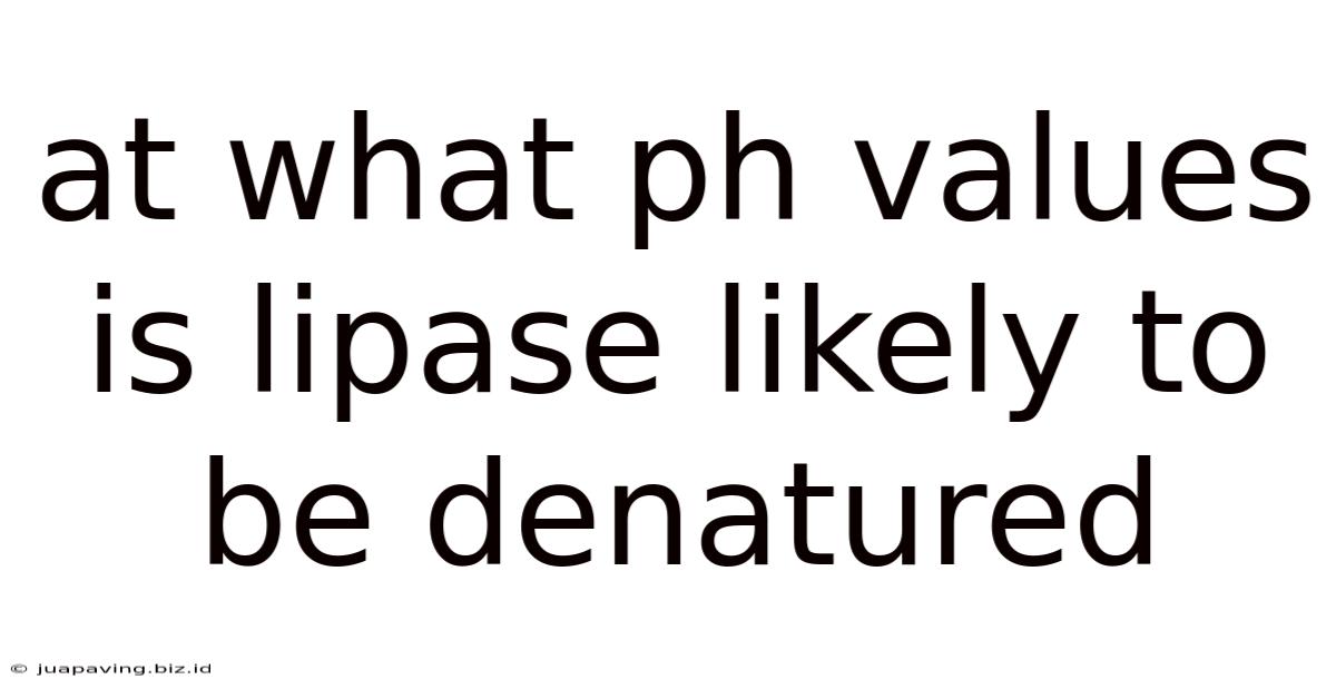 At What Ph Values Is Lipase Likely To Be Denatured