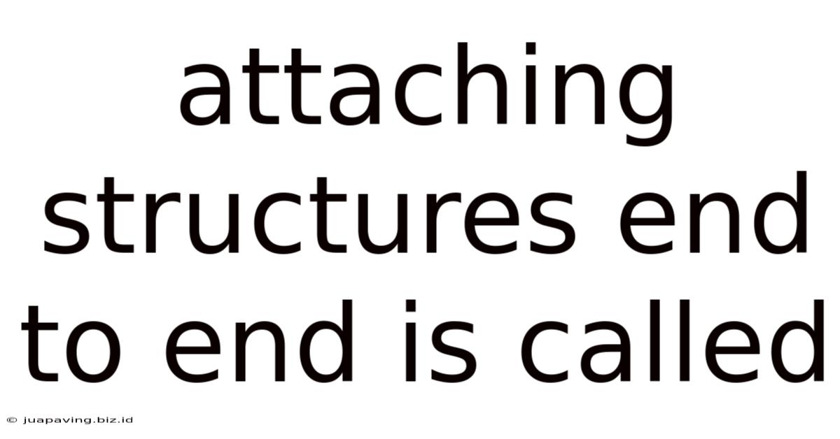 Attaching Structures End To End Is Called