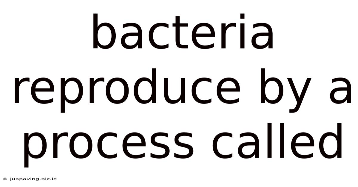Bacteria Reproduce By A Process Called