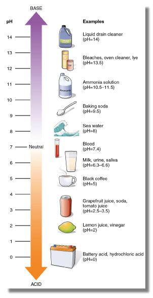 Baking Soda An Acid Or Base