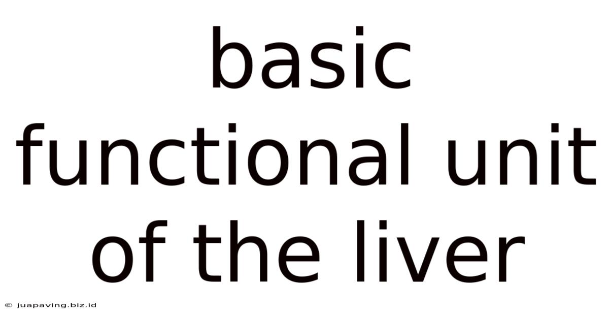 Basic Functional Unit Of The Liver