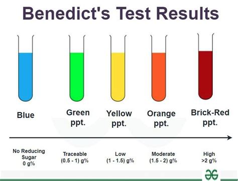 Benedict's Reagent Tests For The Presence Of