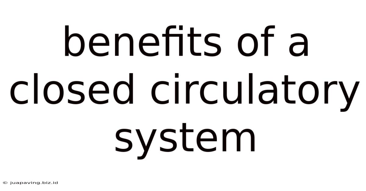 Benefits Of A Closed Circulatory System