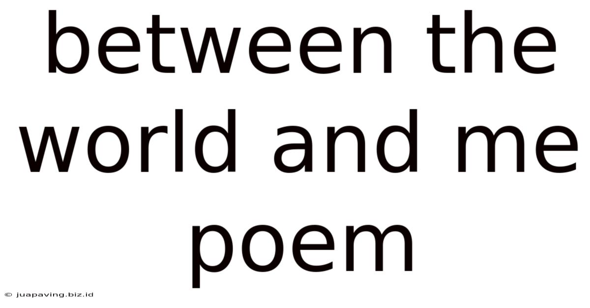 Between The World And Me Poem