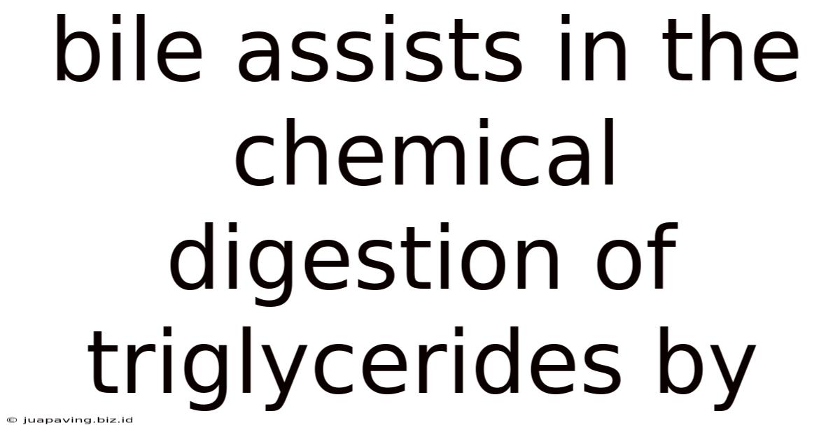 Bile Assists In The Chemical Digestion Of Triglycerides By