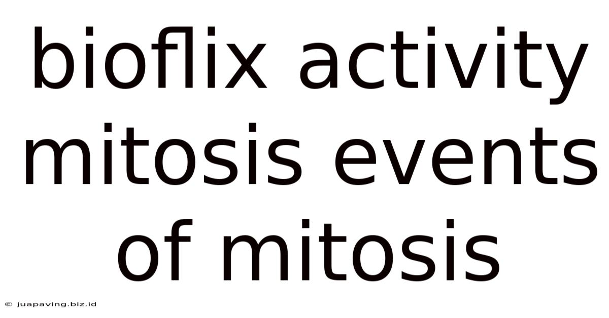 Bioflix Activity Mitosis Events Of Mitosis