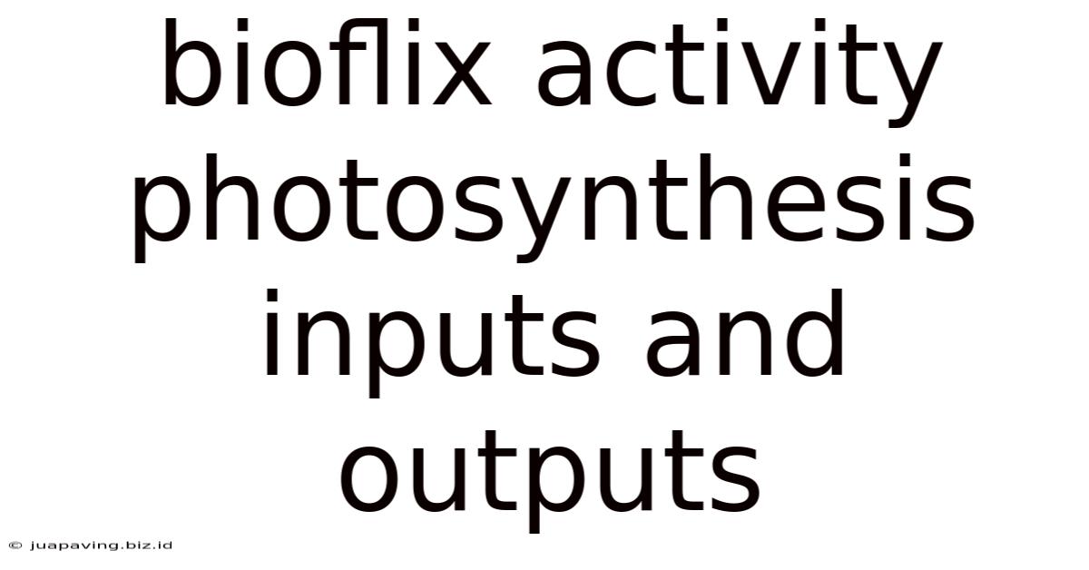 Bioflix Activity Photosynthesis Inputs And Outputs