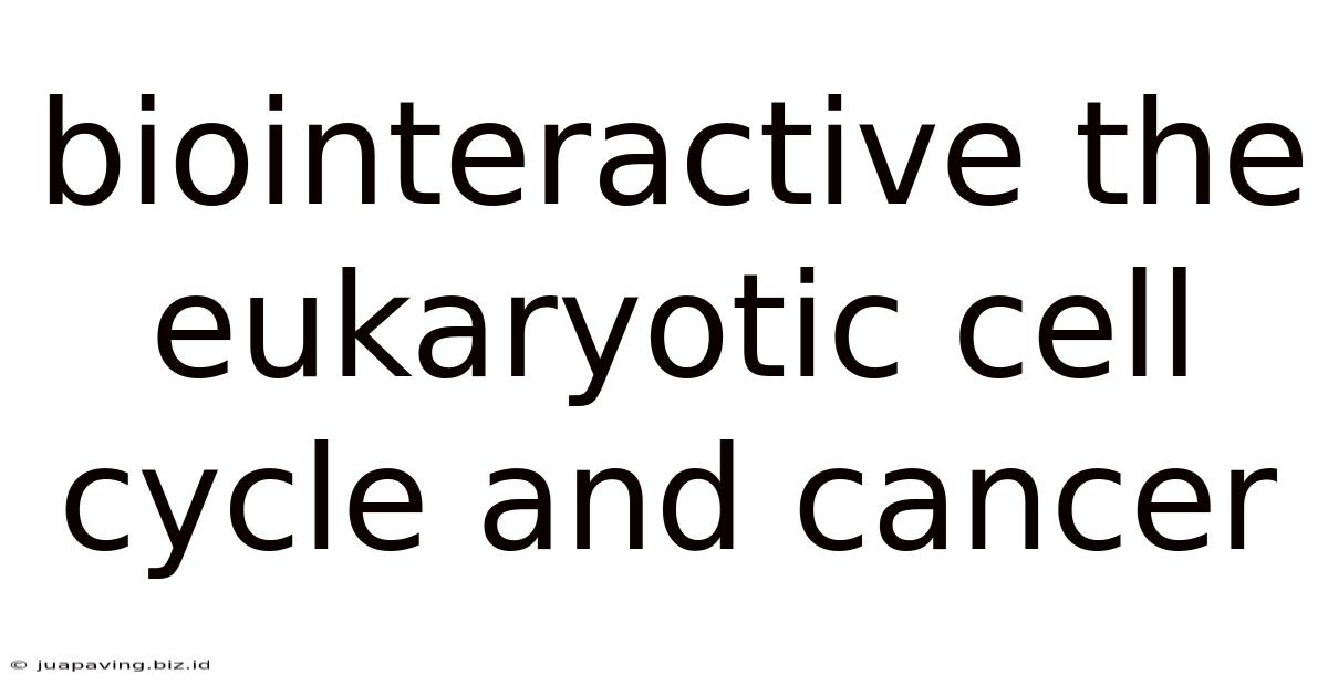 Biointeractive The Eukaryotic Cell Cycle And Cancer