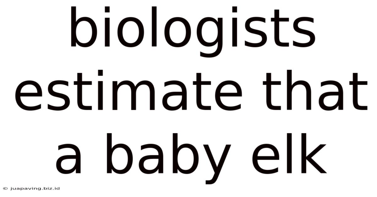 Biologists Estimate That A Baby Elk