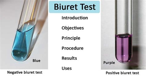 Biuret Reagent Is Used To Test For The Presence Of