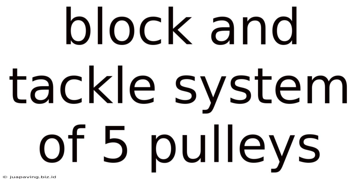 Block And Tackle System Of 5 Pulleys