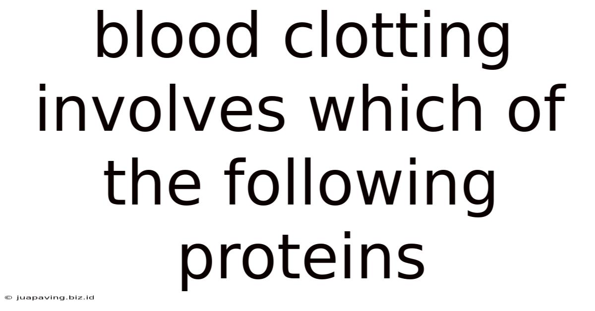 Blood Clotting Involves Which Of The Following Proteins