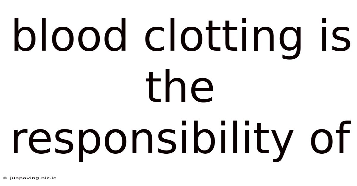 Blood Clotting Is The Responsibility Of