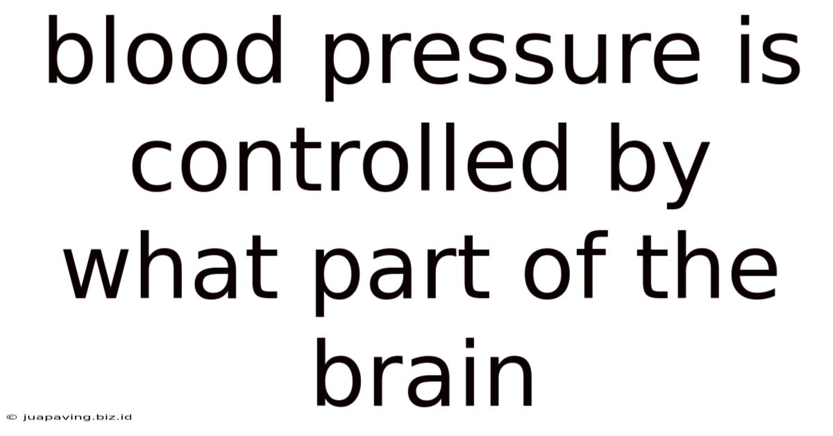 Blood Pressure Is Controlled By What Part Of The Brain