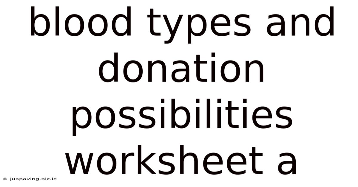 Blood Types And Donation Possibilities Worksheet A