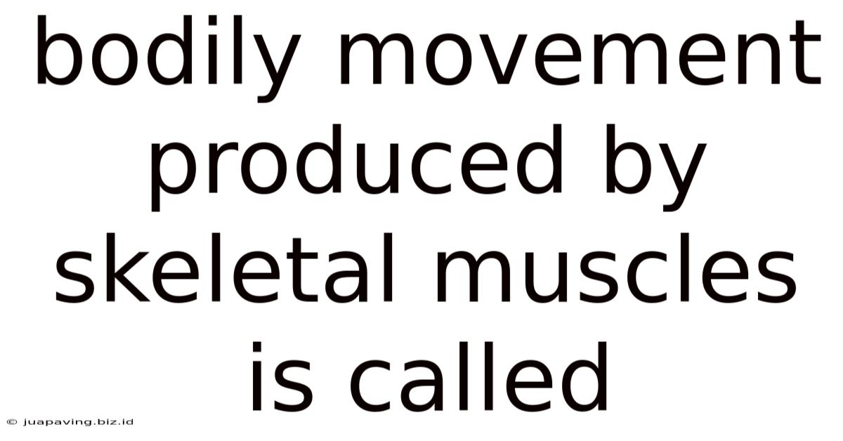 Bodily Movement Produced By Skeletal Muscles Is Called