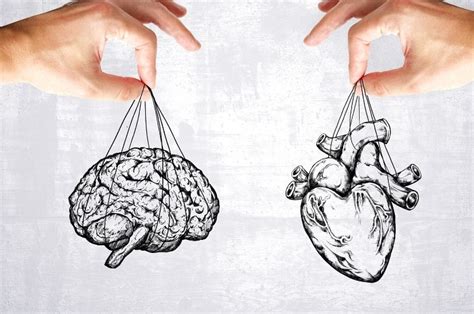 Brain Or Heart Which Is More Important