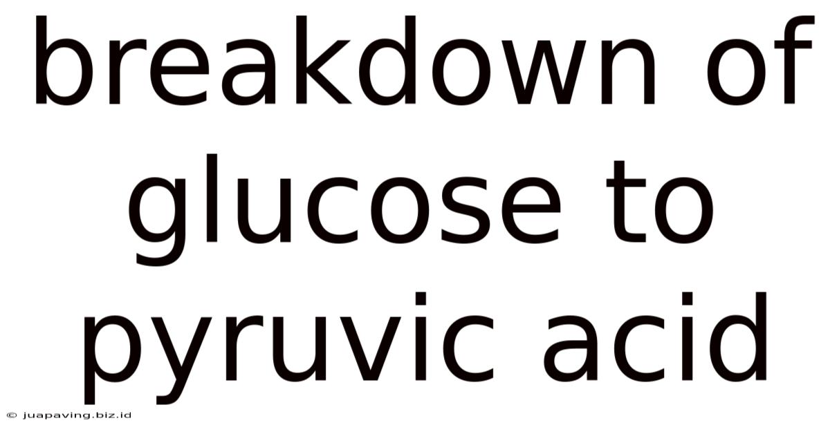 Breakdown Of Glucose To Pyruvic Acid
