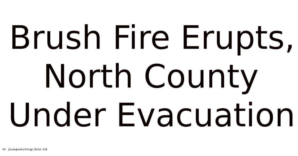 Brush Fire Erupts, North County Under Evacuation