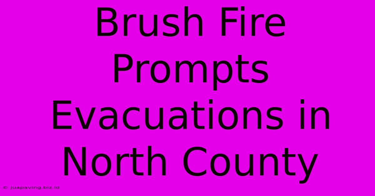 Brush Fire Prompts Evacuations In North County