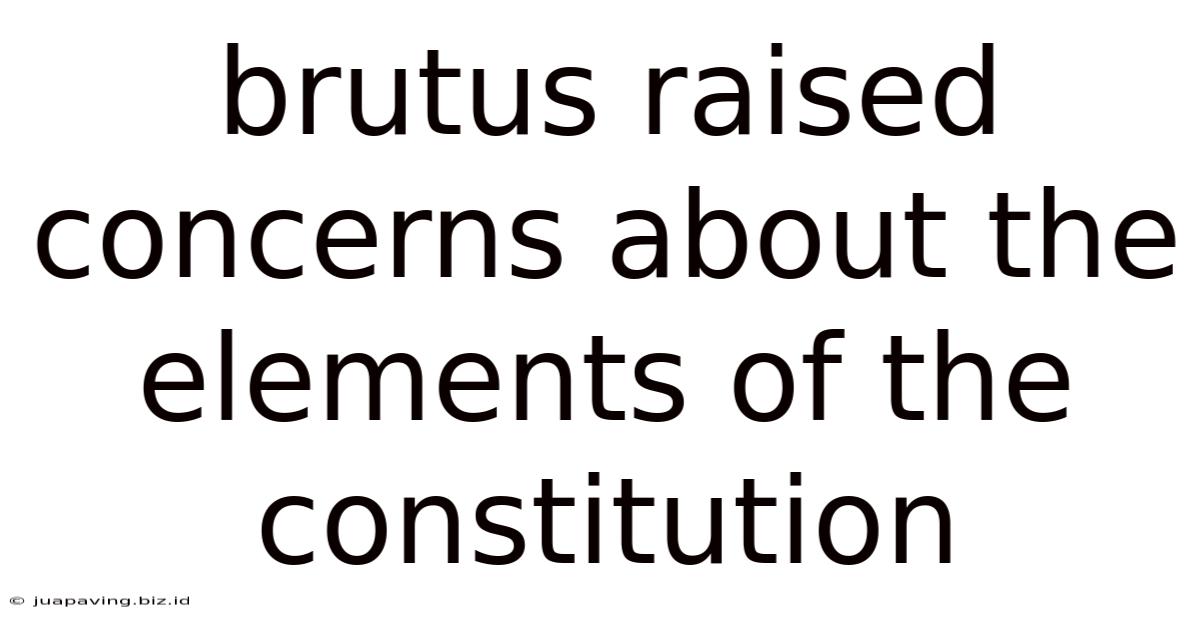 Brutus Raised Concerns About The Elements Of The Constitution