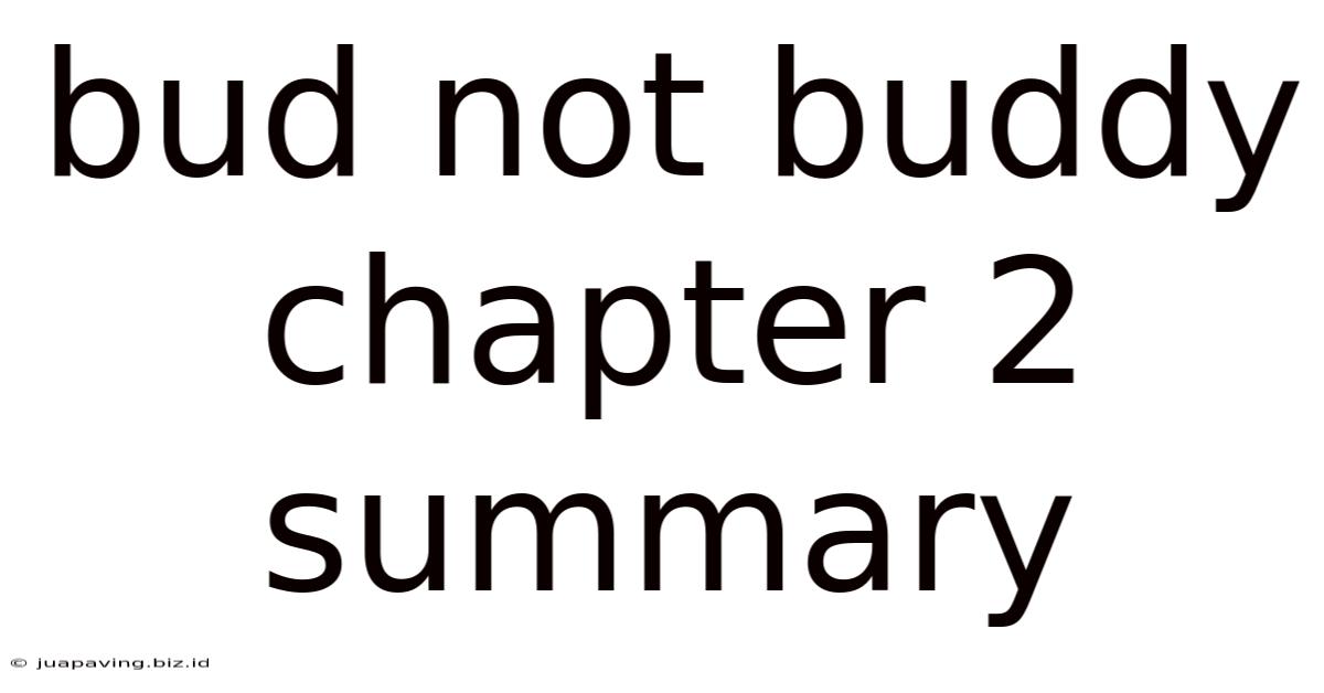 Bud Not Buddy Chapter 2 Summary