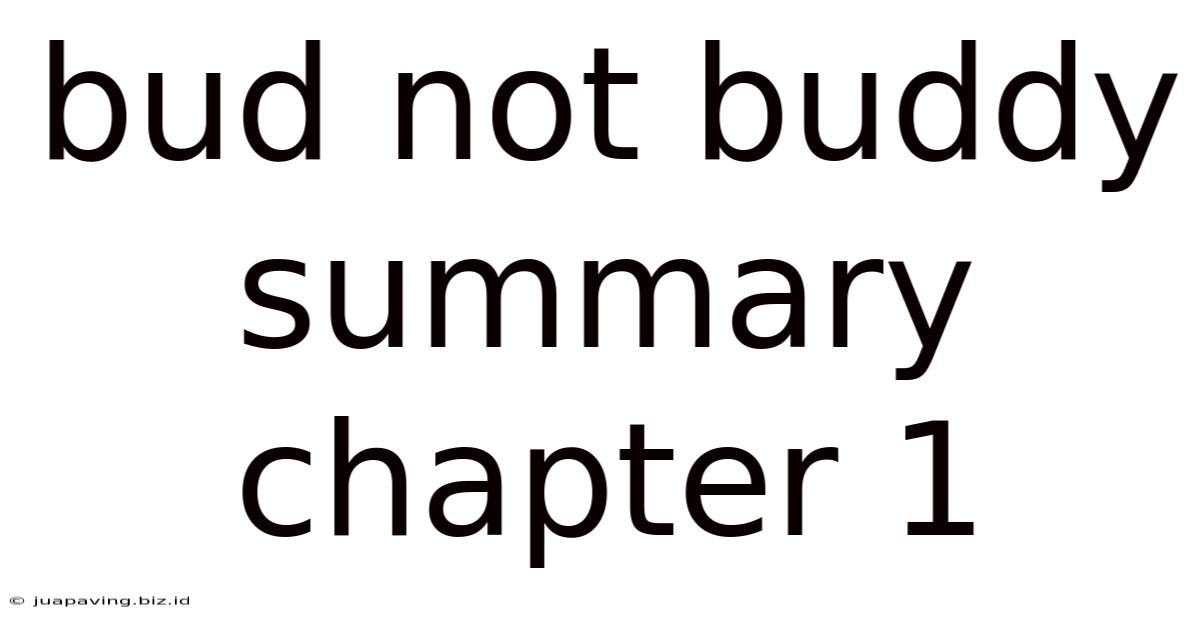 Bud Not Buddy Summary Chapter 1