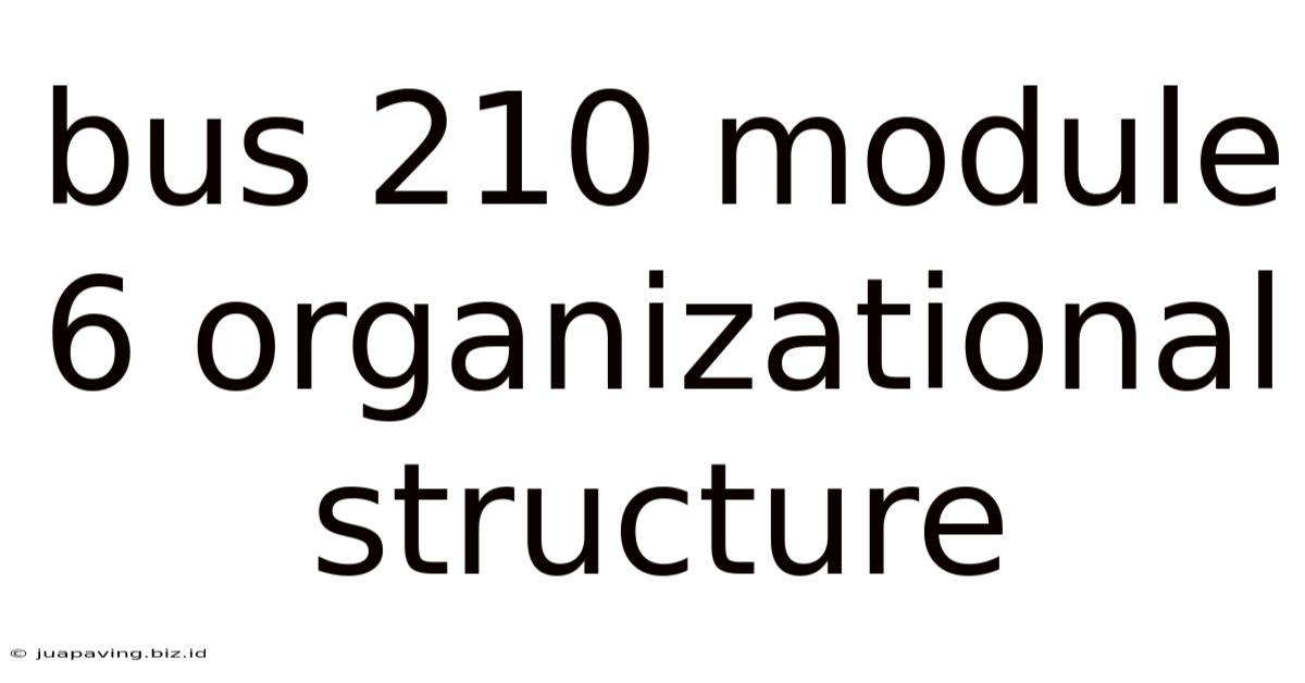 Bus 210 Module 6 Organizational Structure