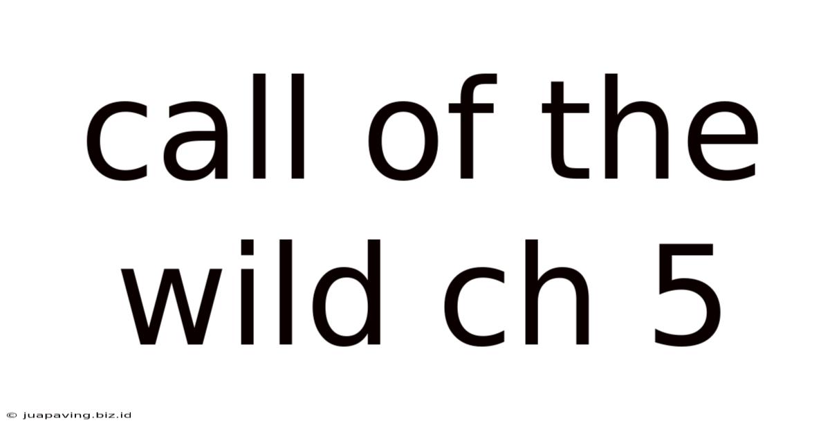 Call Of The Wild Ch 5