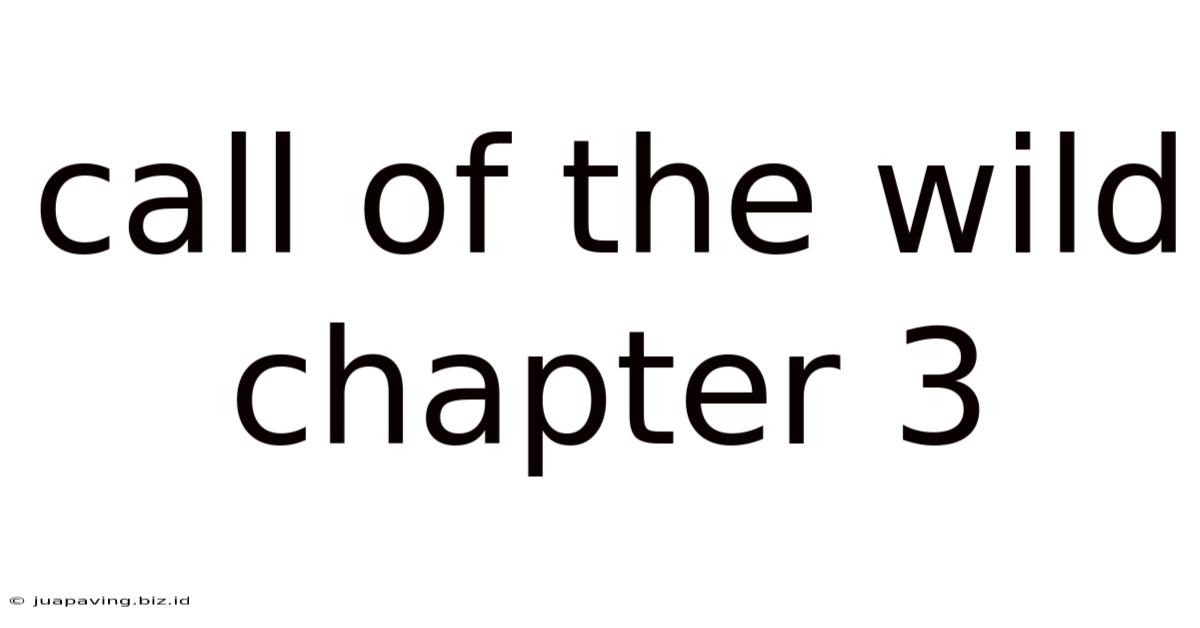 Call Of The Wild Chapter 3
