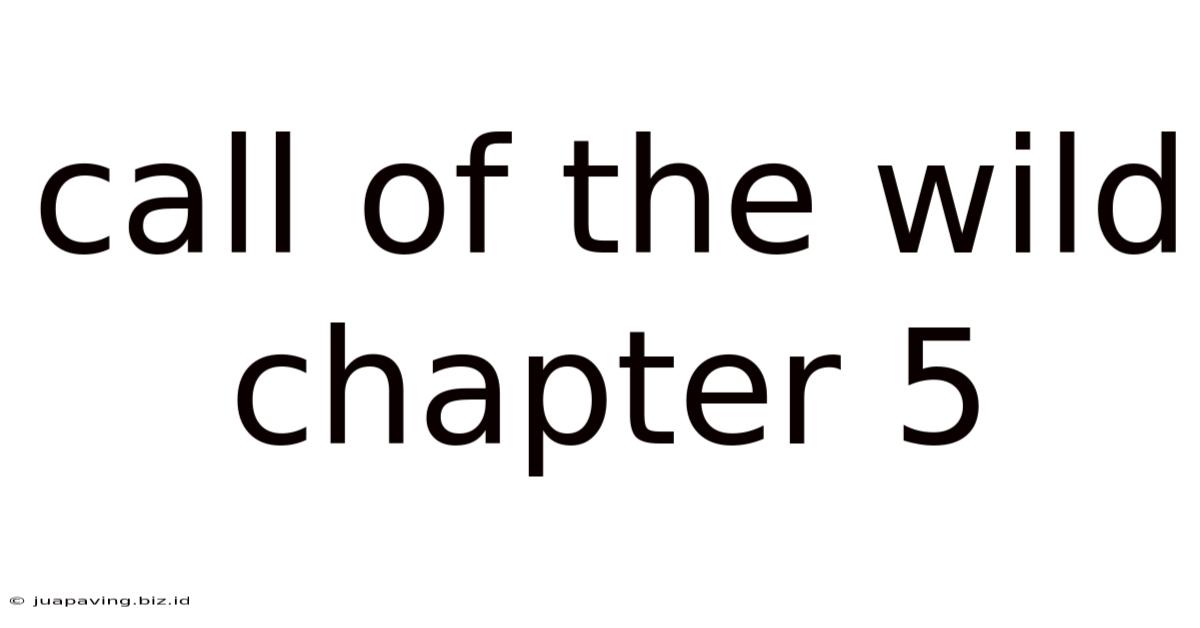 Call Of The Wild Chapter 5