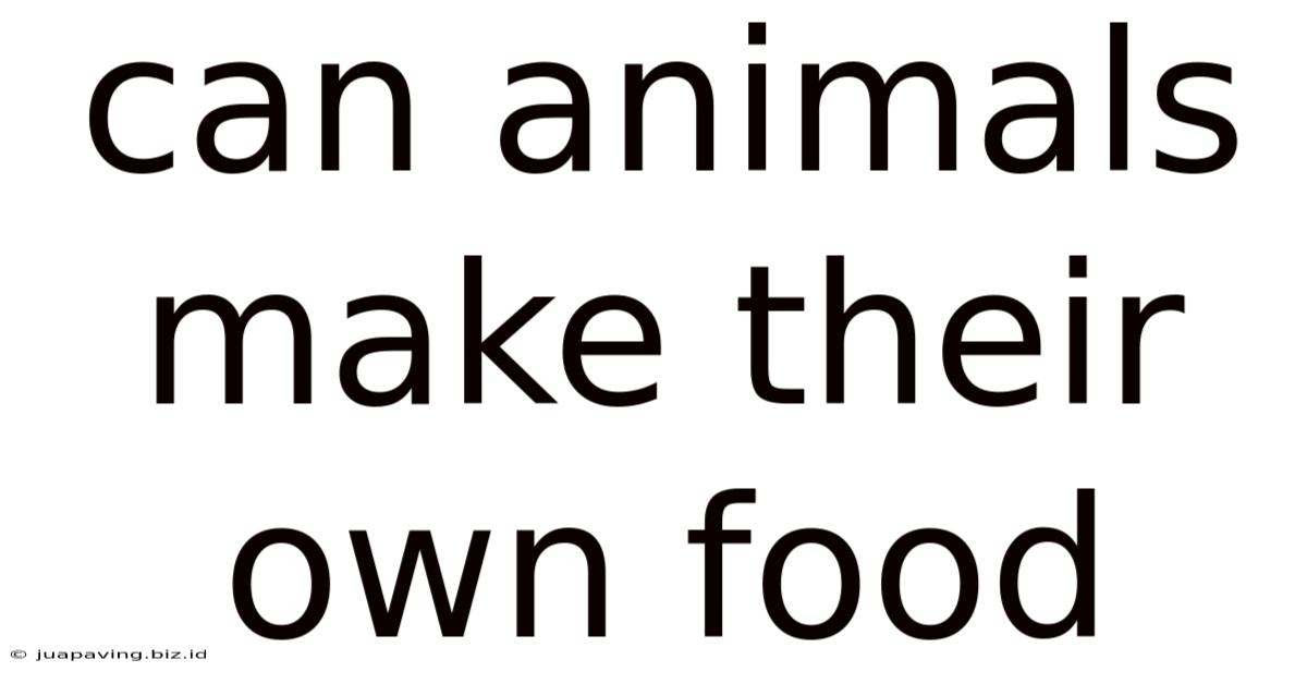 Can Animals Make Their Own Food