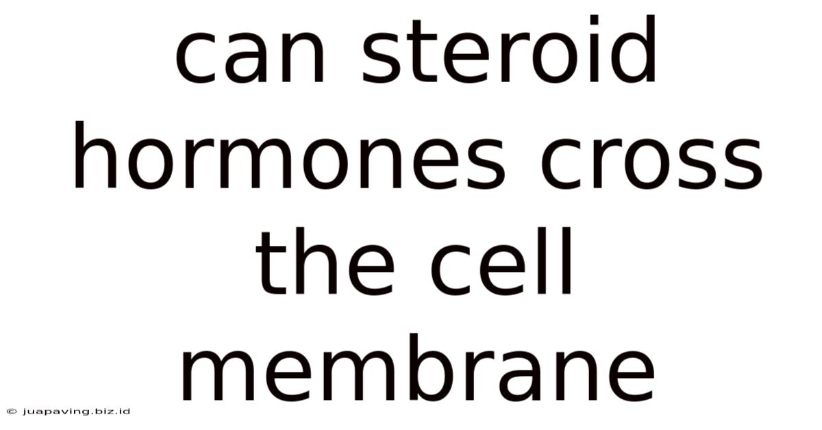 Can Steroid Hormones Cross The Cell Membrane