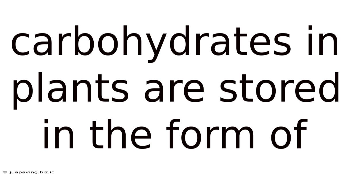 Carbohydrates In Plants Are Stored In The Form Of