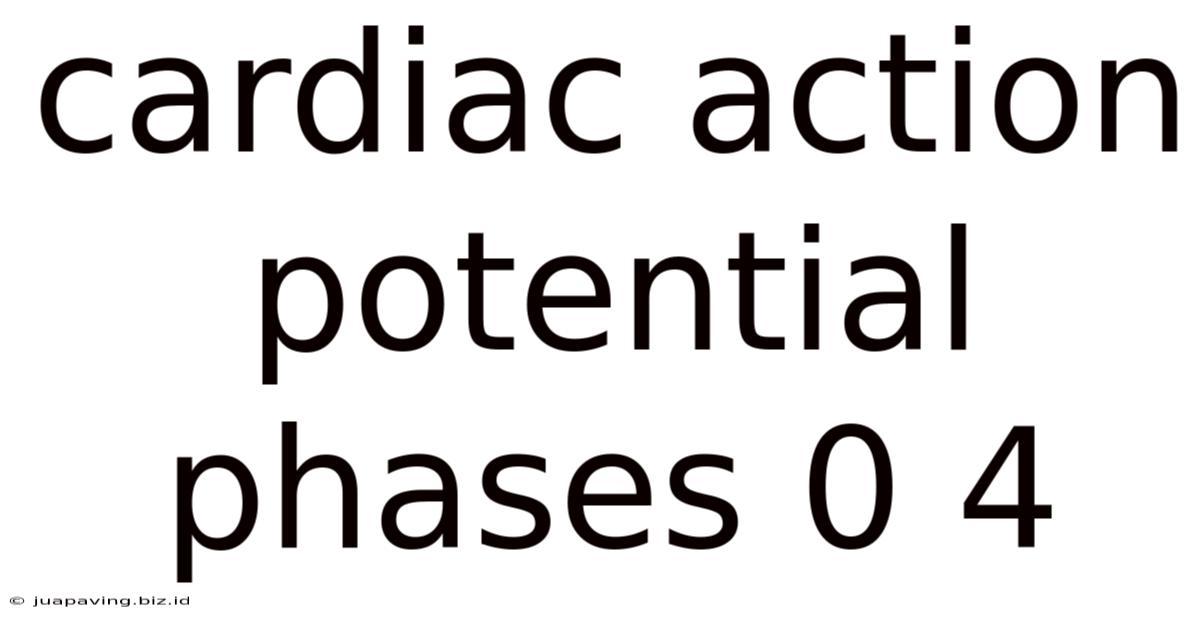 Cardiac Action Potential Phases 0 4