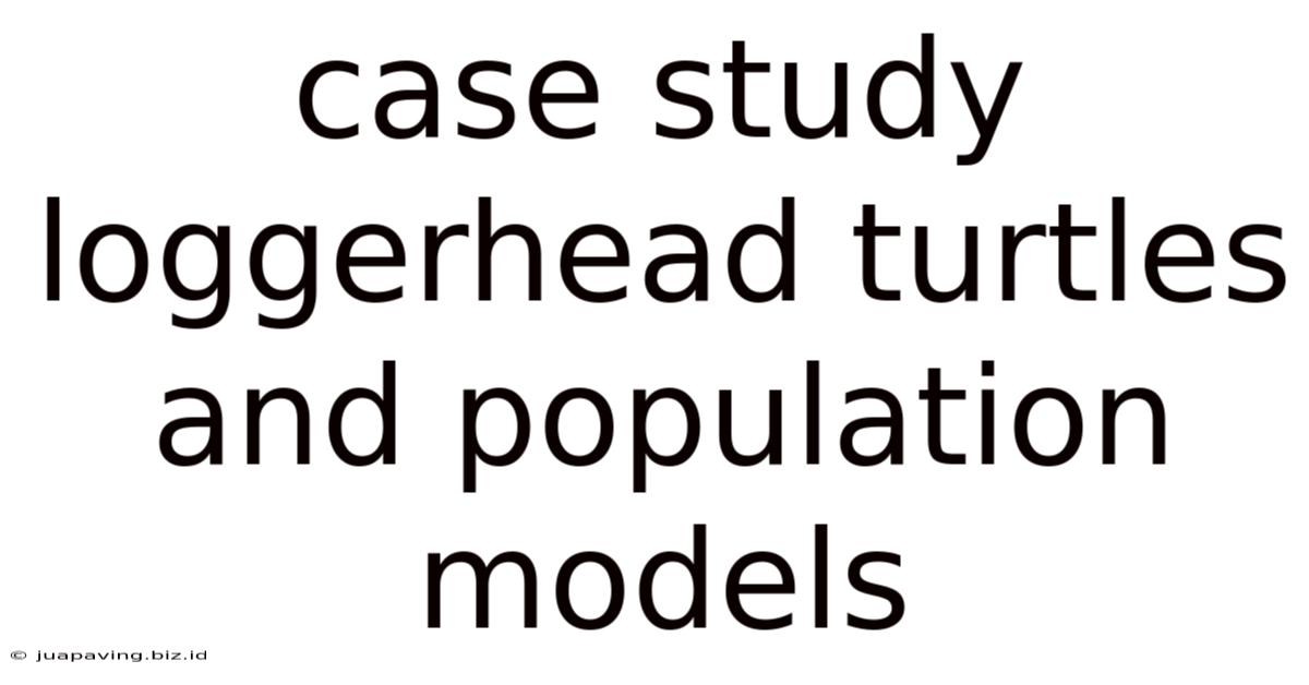 Case Study Loggerhead Turtles And Population Models