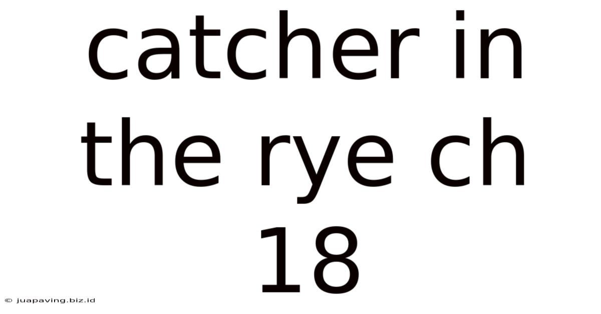 Catcher In The Rye Ch 18