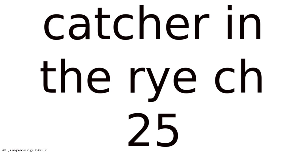 Catcher In The Rye Ch 25