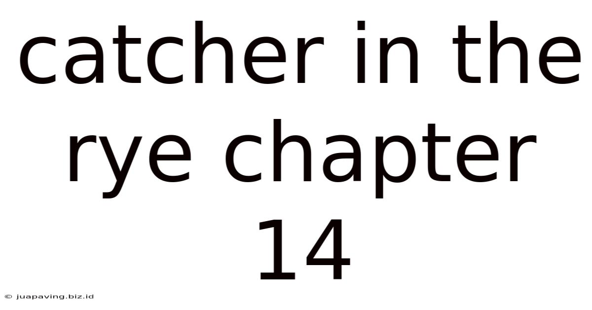 Catcher In The Rye Chapter 14