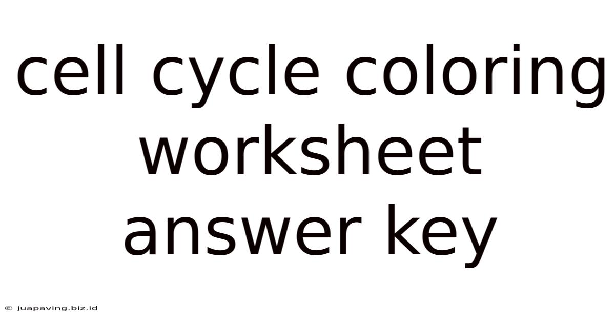 Cell Cycle Coloring Worksheet Answer Key
