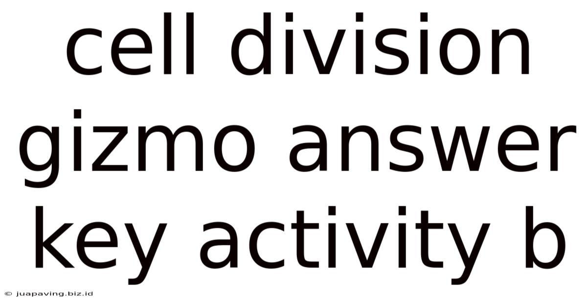 Cell Division Gizmo Answer Key Activity B