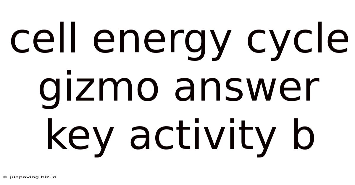 Cell Energy Cycle Gizmo Answer Key Activity B