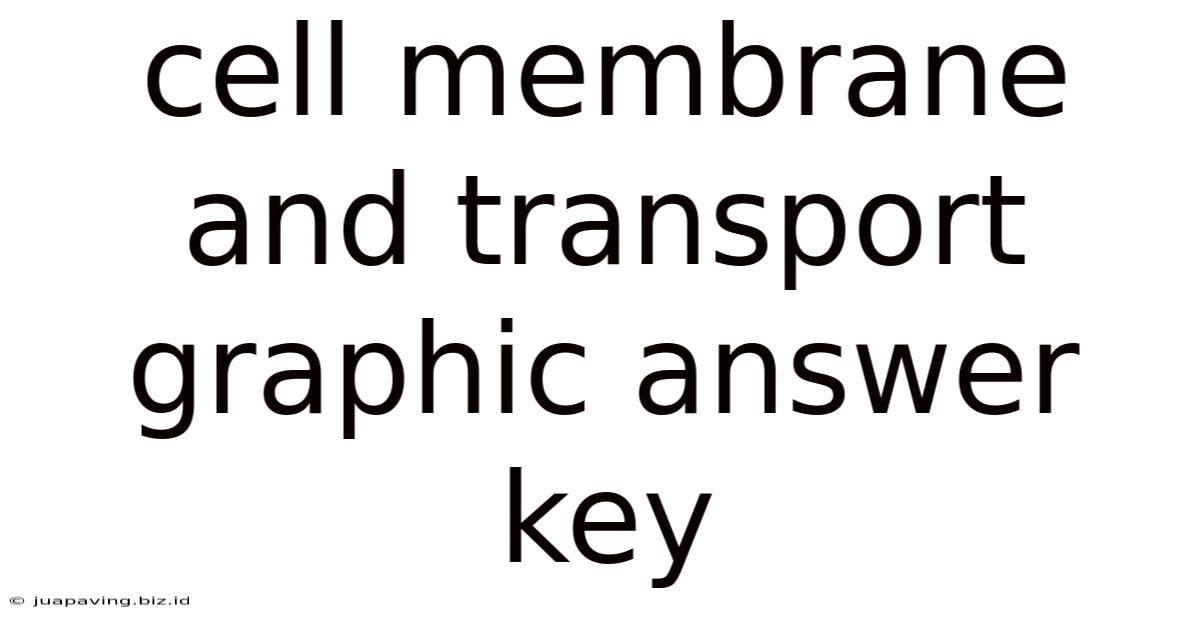 Cell Membrane And Transport Graphic Answer Key