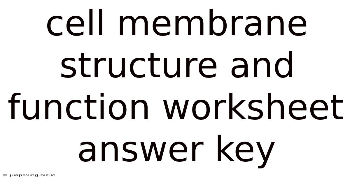 Cell Membrane Structure And Function Worksheet Answer Key