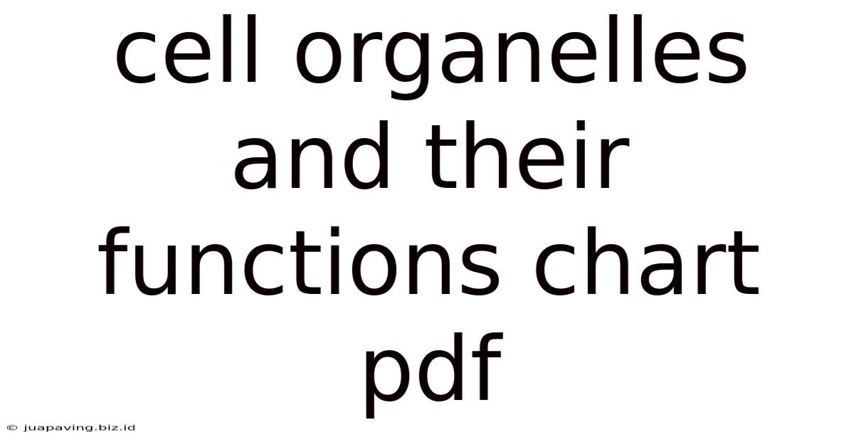 Cell Organelles And Their Functions Chart Pdf