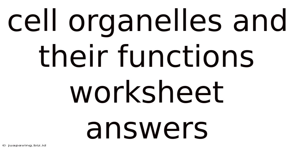 Cell Organelles And Their Functions Worksheet Answers