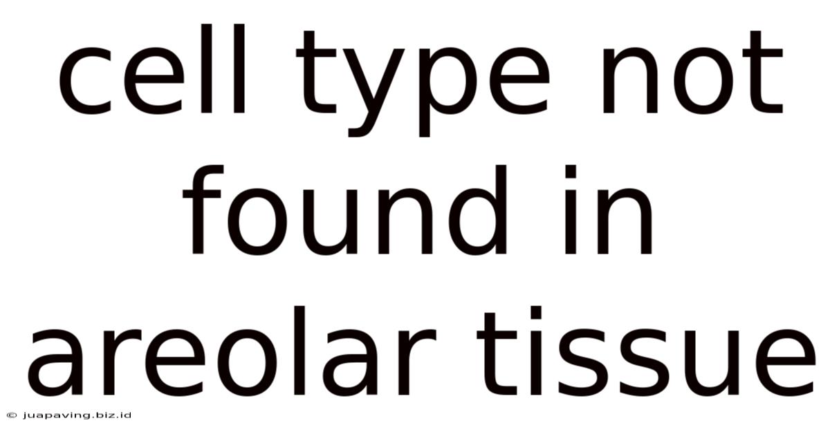 Cell Type Not Found In Areolar Tissue