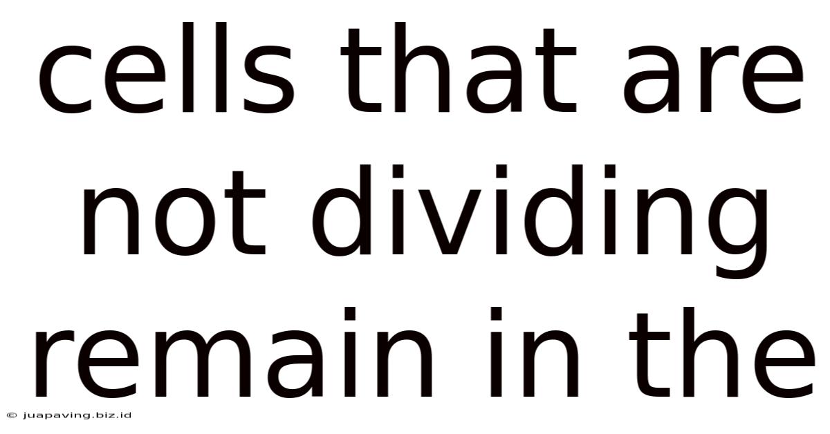 Cells That Are Not Dividing Remain In The